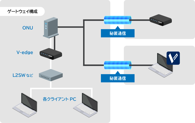 vedge_network_01.png