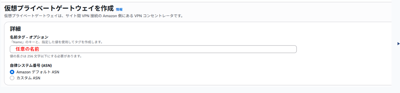 nac_support-article_aws-vpn_251107_06.webp